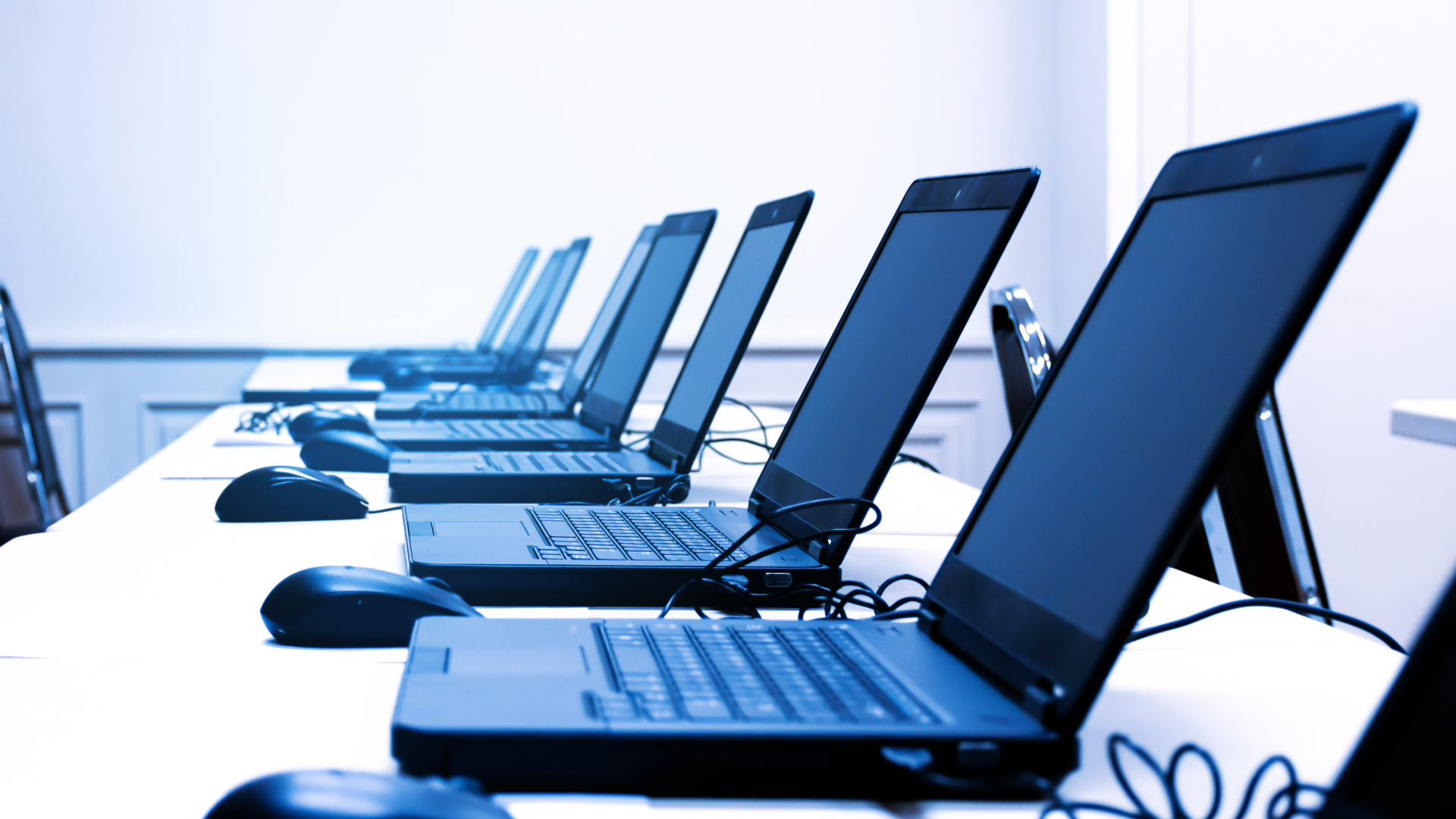 De brug tussen tech-talent en organisaties begint met begeleiding
